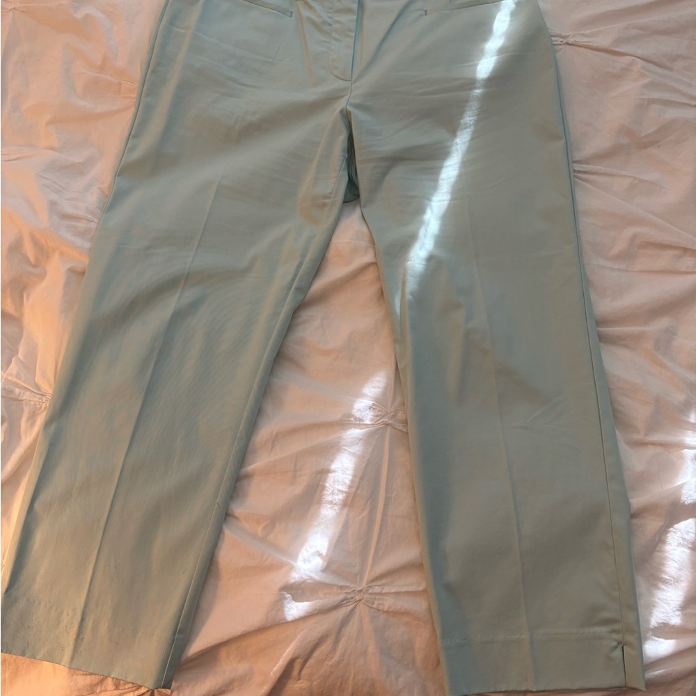 Ann Taylor Mint Green Cropped Ankle Pants